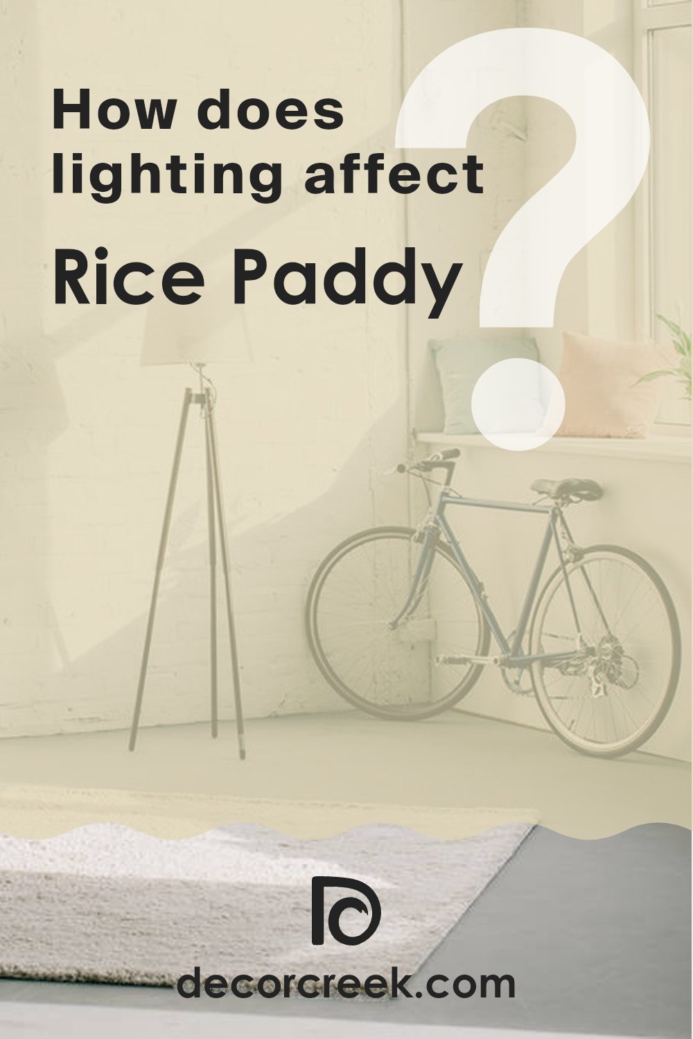 how_does_lighting_affect_rice_paddy_sw_6414