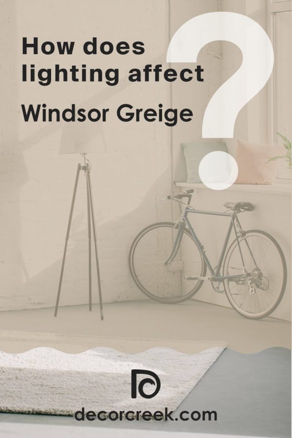 Windsor Greige SW 7528 Paint Color by Sherwin Williams - DecorCreek