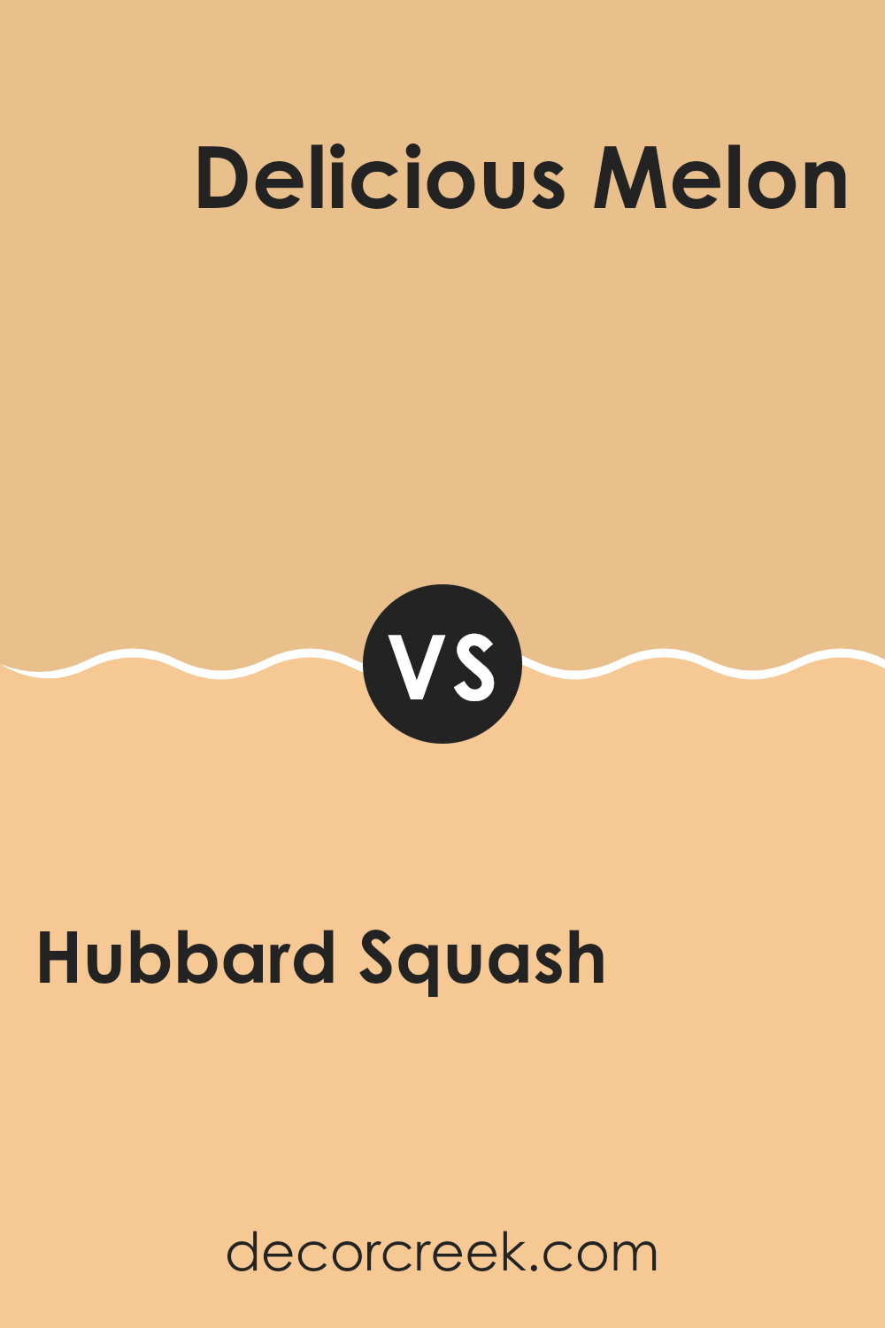 hubbard_squash_sw_0044_vs_delicious_melon_sw_6653