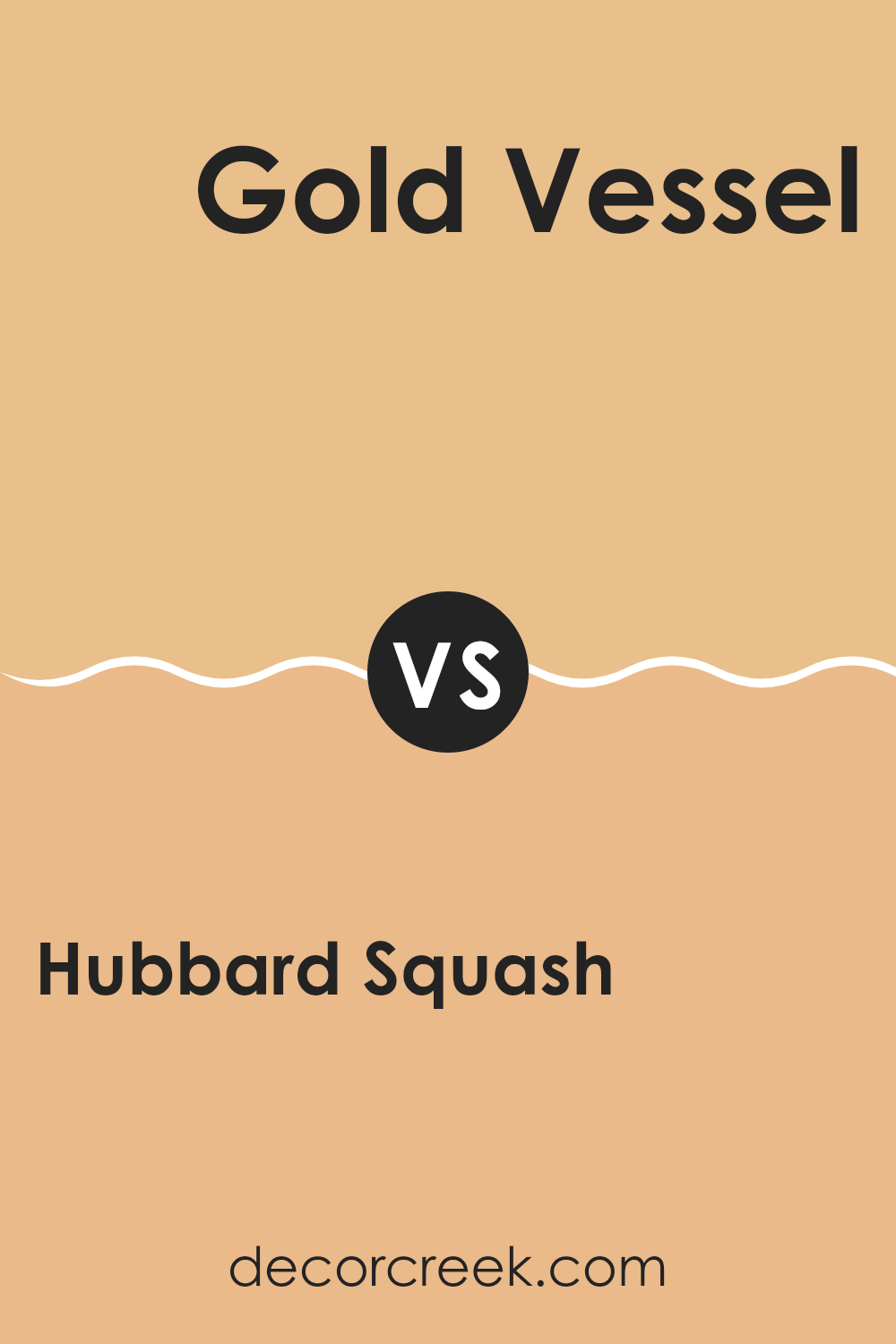 hubbard_squash_sw_0044_vs_gold_vessel_sw_7677