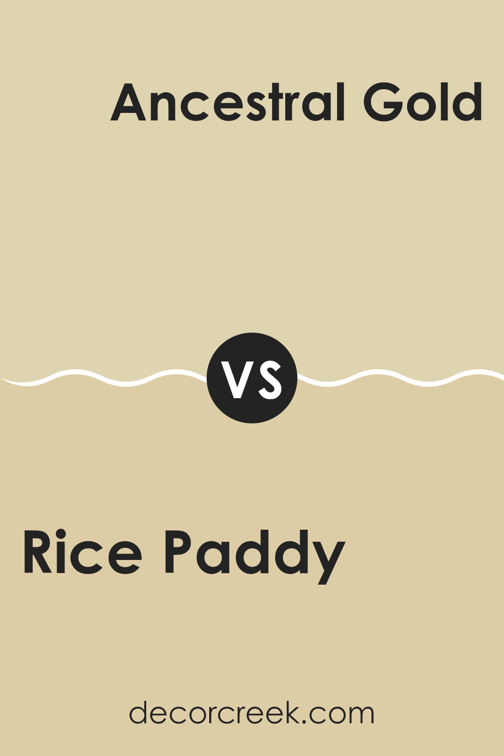 rice_paddy_sw_6414_vs_ancestral_gold_sw_6407