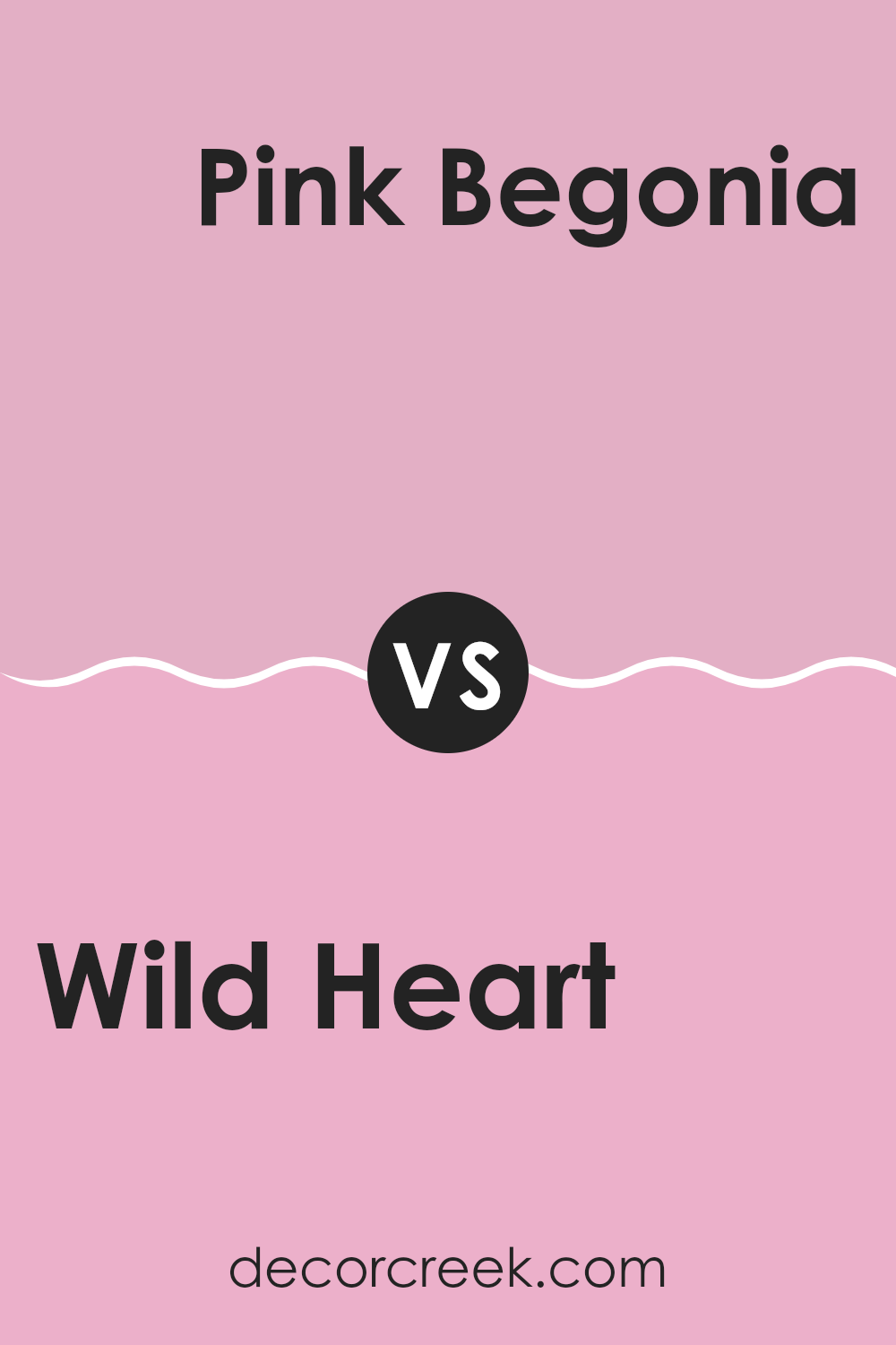 wild_heart_1354_vs_pink_begonia_2078_50