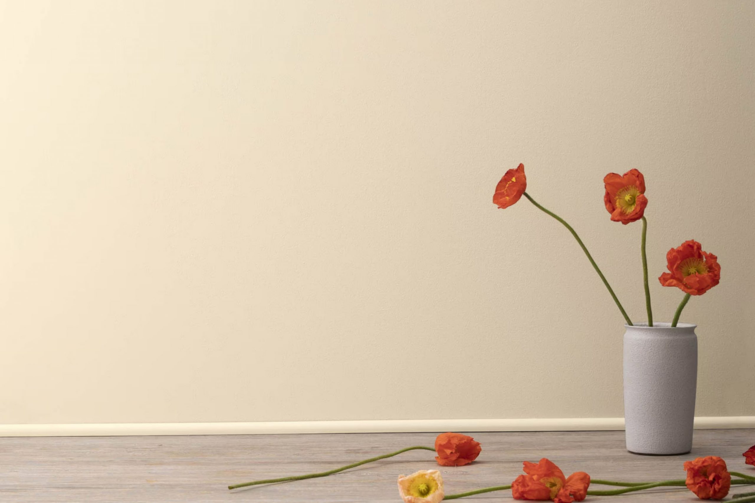 Barely Beige 1066 Paint Color by Benjamin Moore