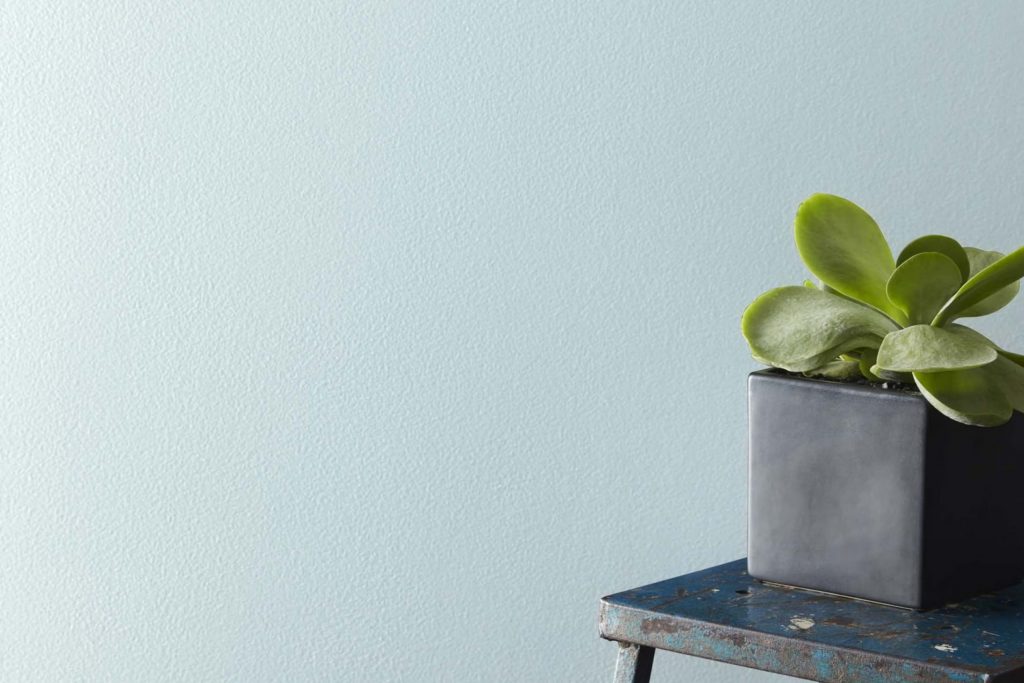 Blue Haze 1667 Paint Color by Benjamin Moore
