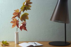 Gossamer Blue 2123-40 Paint Color by Benjamin Moore