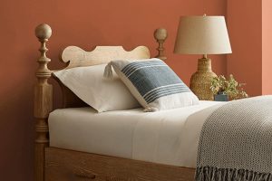 Pennywise SW 6349 Paint Color by Sherwin Williams