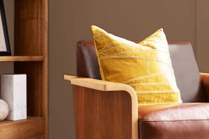 Rookwood Brown SW 2806 Paint Color by Sherwin Williams