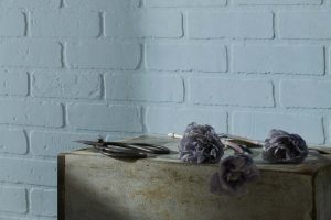 Slate Blue 1648 Paint Color by Benjamin Moore