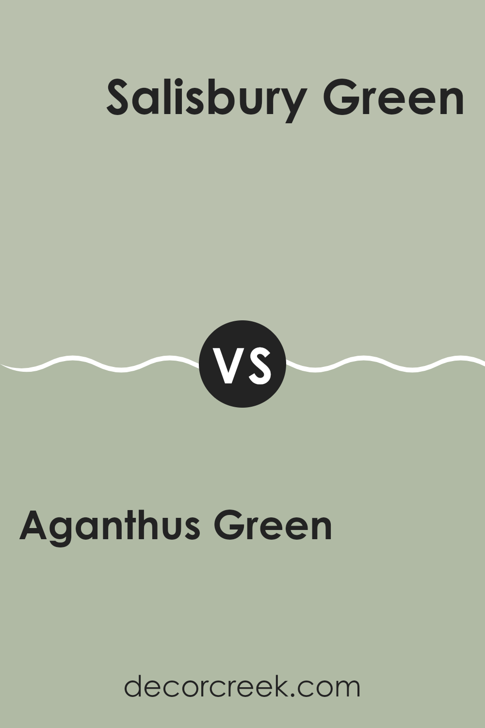 aganthus_green_472_vs_salisbury_green_hc_139
