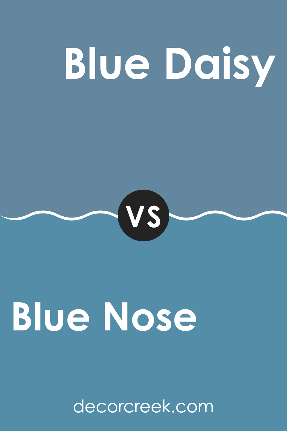 blue_nose_1678_vs_blue_daisy_2062_40