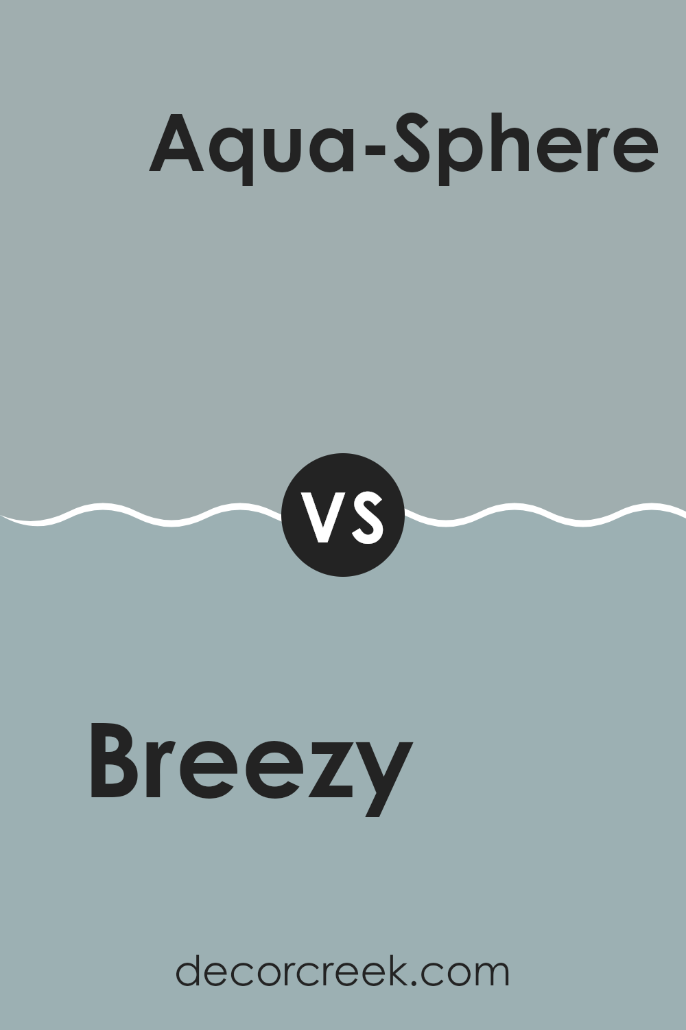 breezy_sw_7616_vs_aqua_sphere_sw_7613