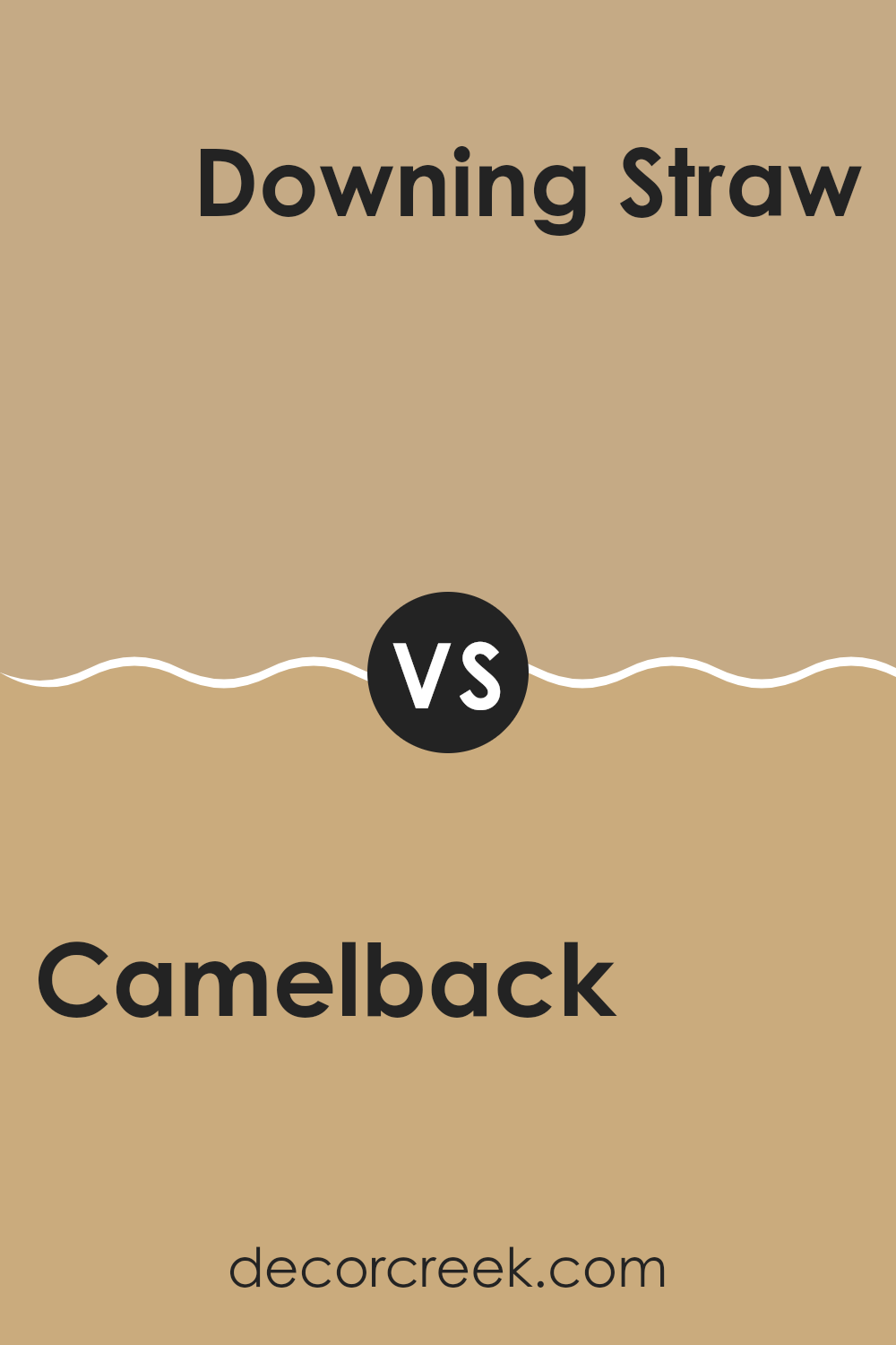 camelback_sw_6122_vs_downing_straw_sw_2813