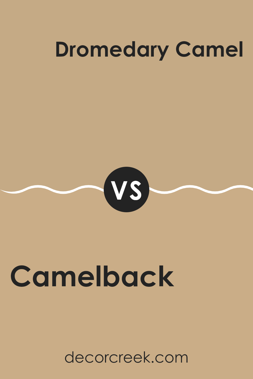camelback_sw_6122_vs_dromedary_camel_sw_7694