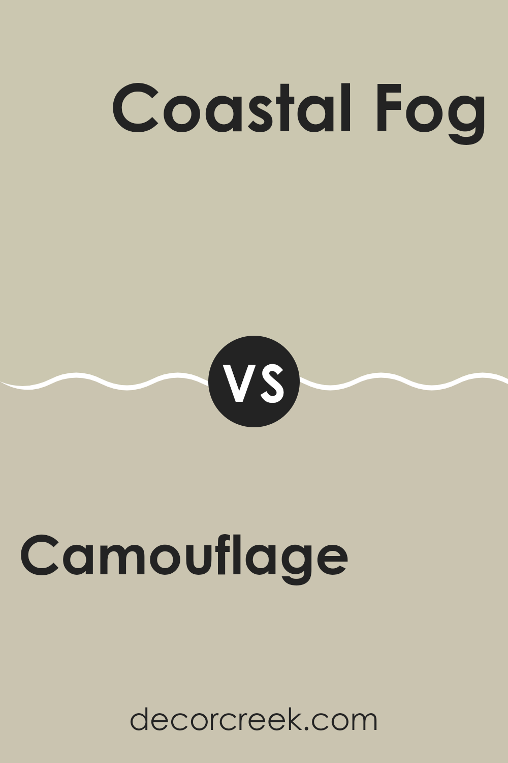 camouflage_2143_40_vs_coastal_fog_976