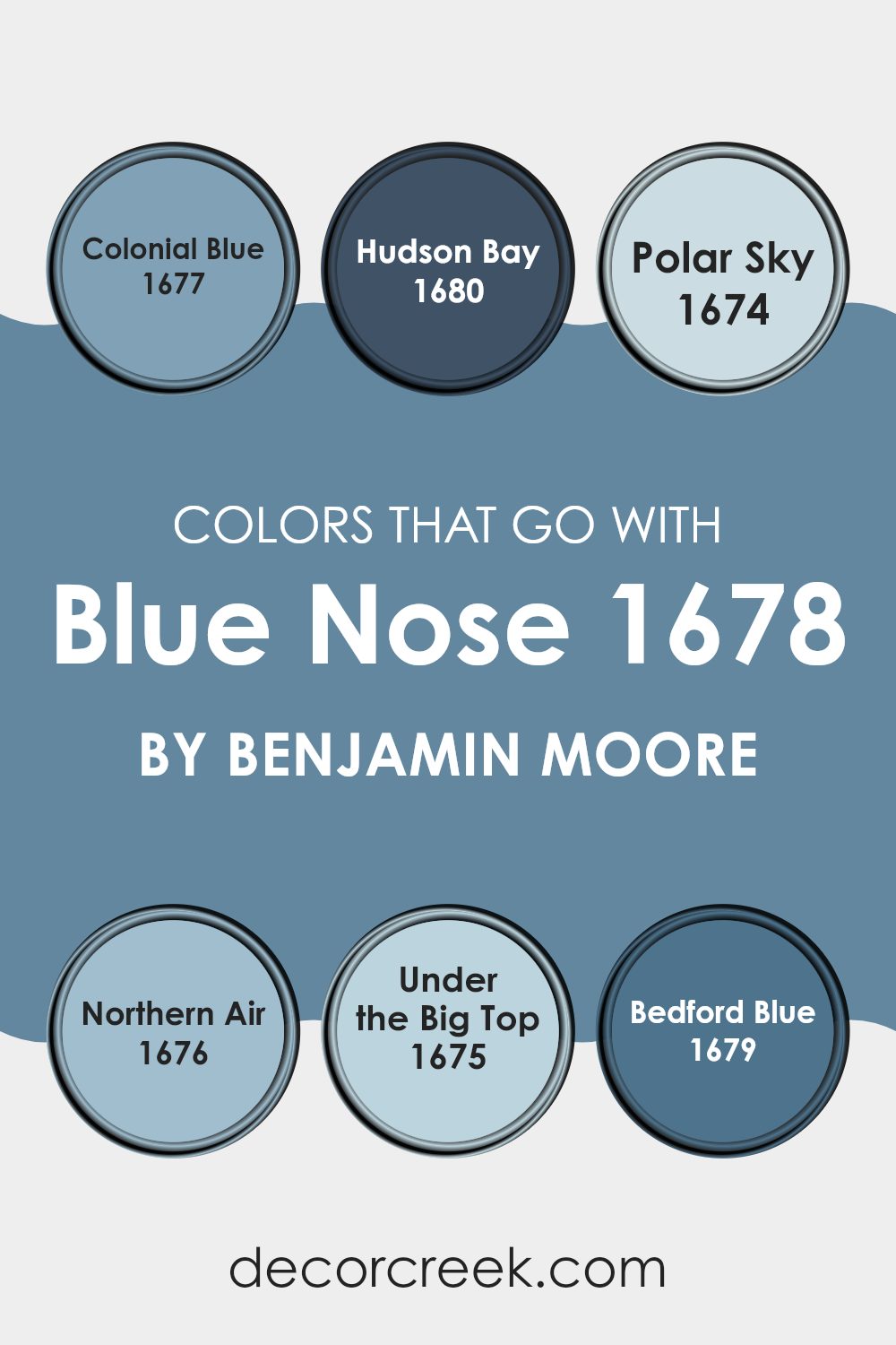 colors_that_go_with_blue_nose_1678