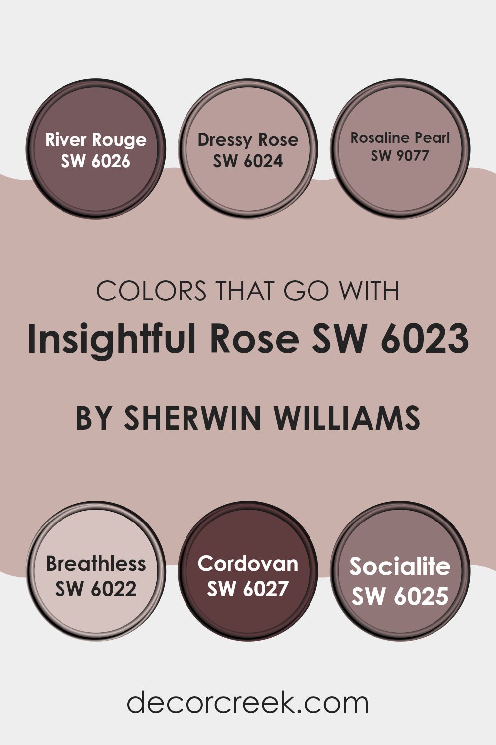 colors_that_go_with_insightful_rose_sw_6023