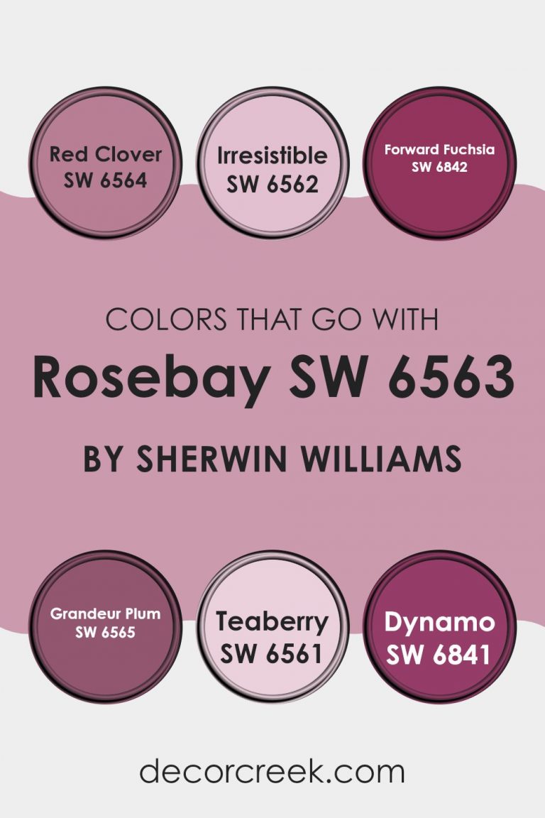 Rosebay SW 6563 Paint Color by Sherwin Williams - DecorCreek