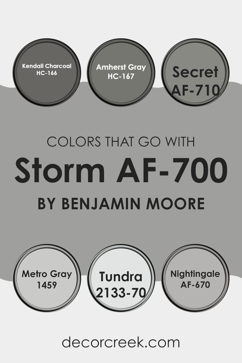 colors_that_go_with_storm_af_700