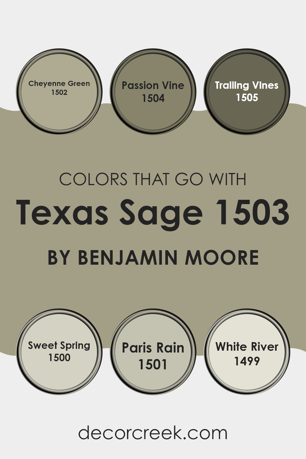 colors_that_go_with_texas_sage_1503