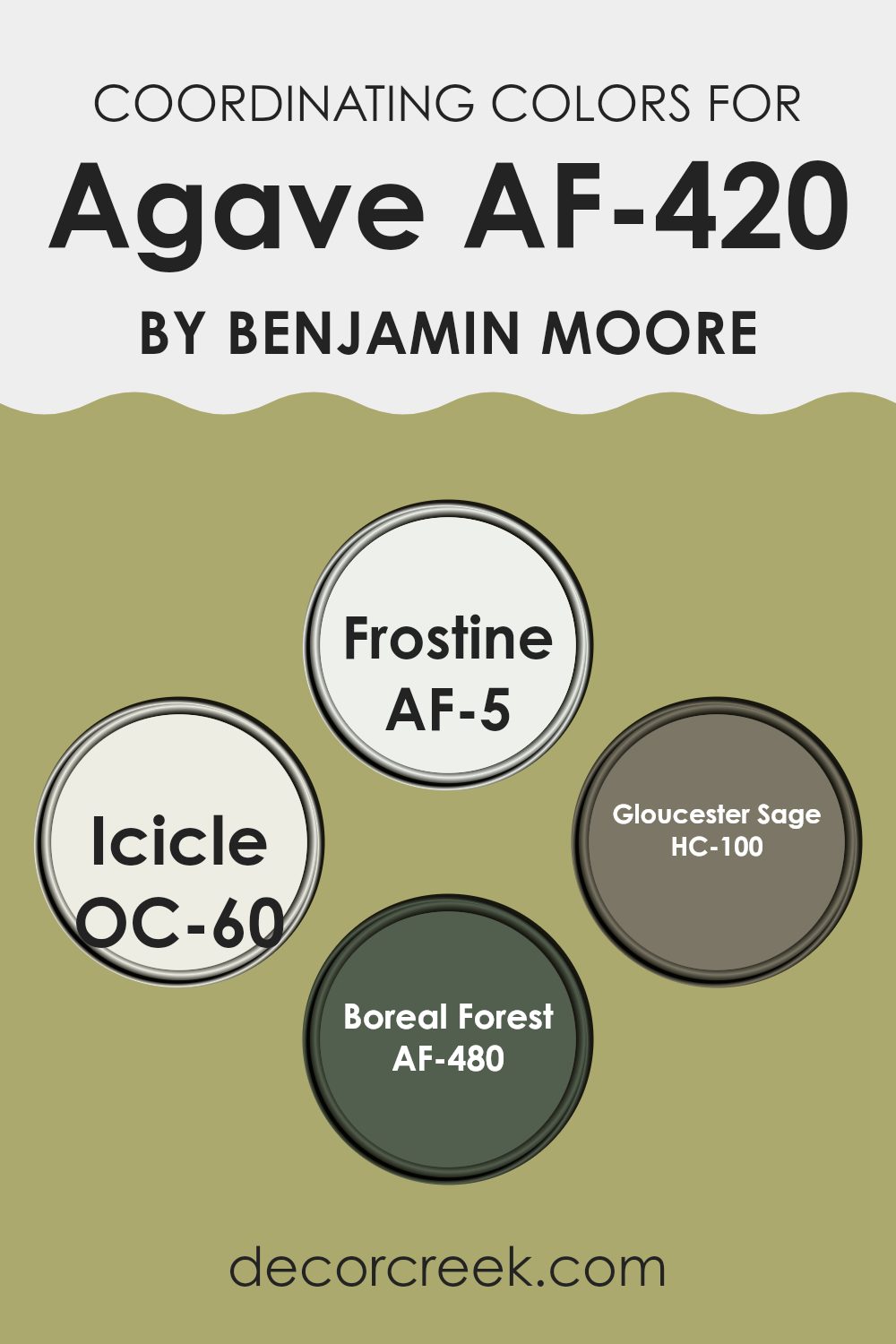 coordinating_colors_of_agave_af_420