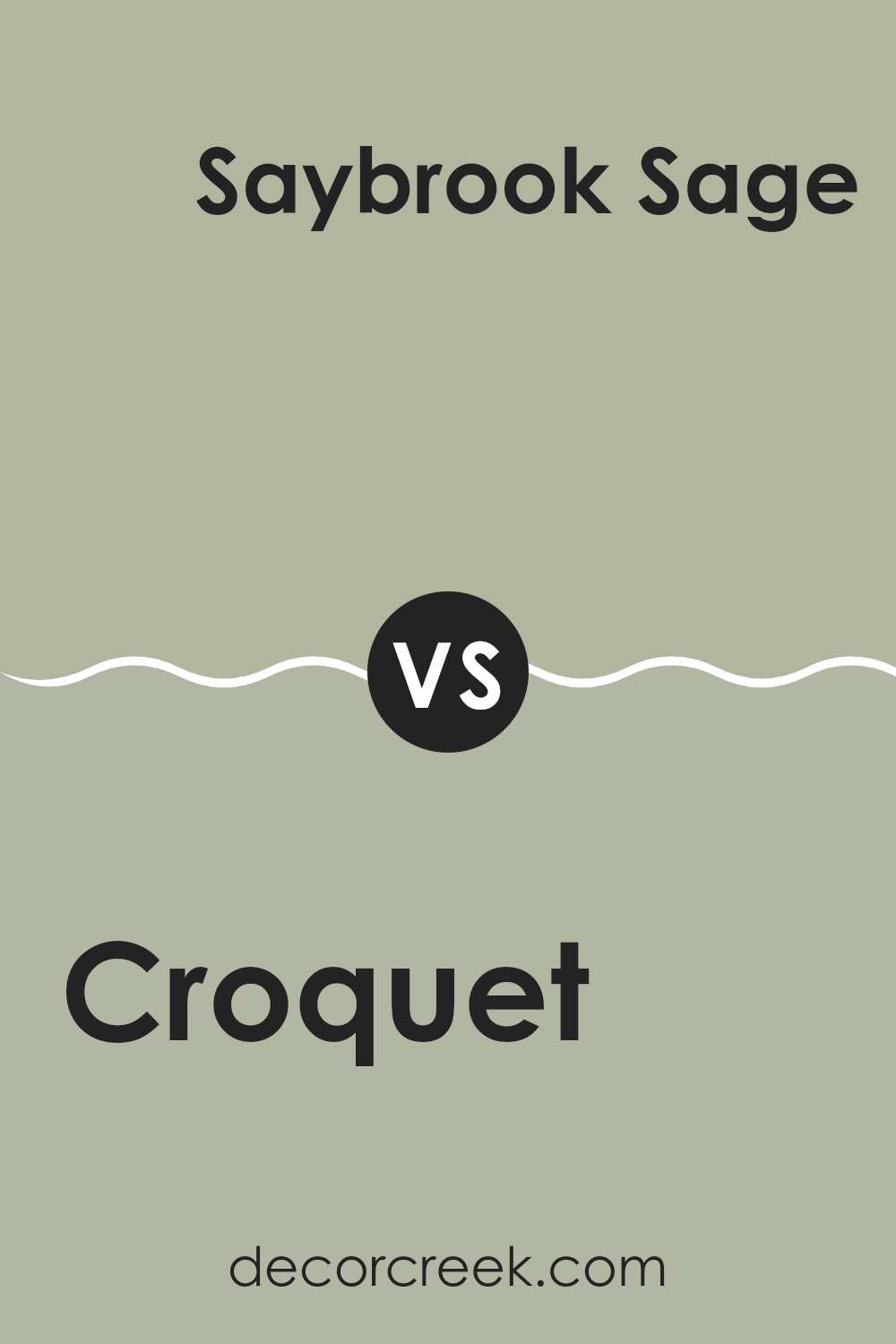 croquet_af_455_vs_saybrook_sage_hc_114