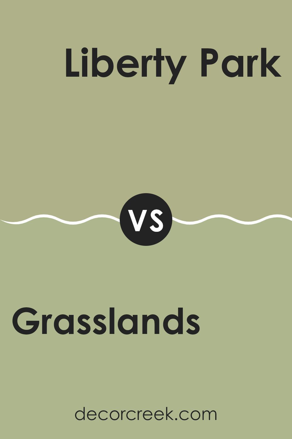 grasslands_502_vs_liberty_park_487