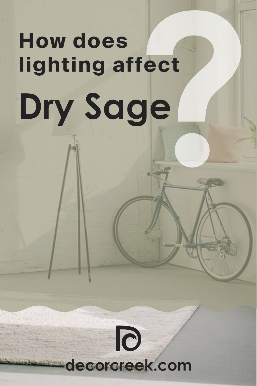 how_does_lighting_affect_dry_sage_2142_40
