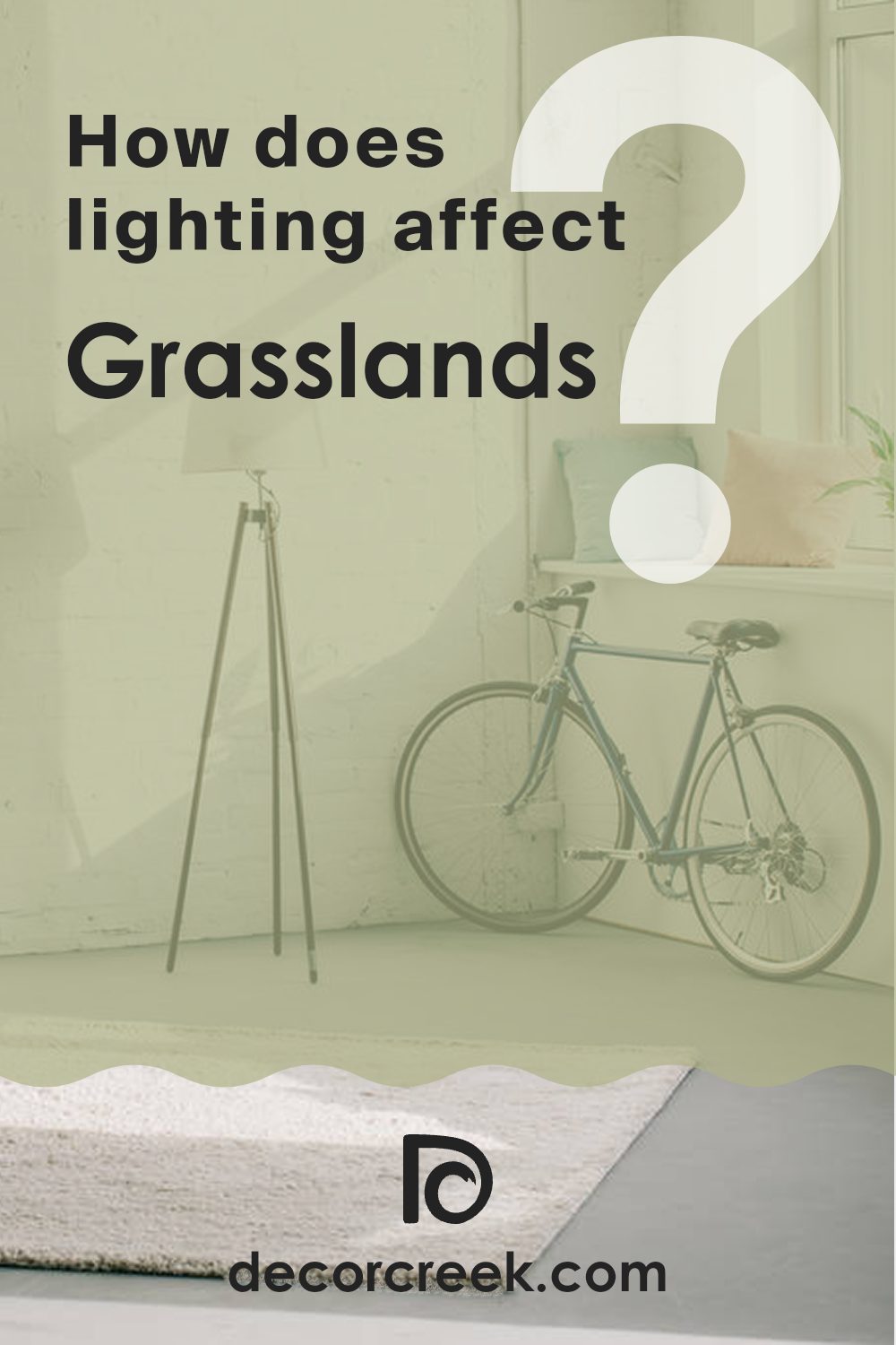 how_does_lighting_affect_grasslands_502