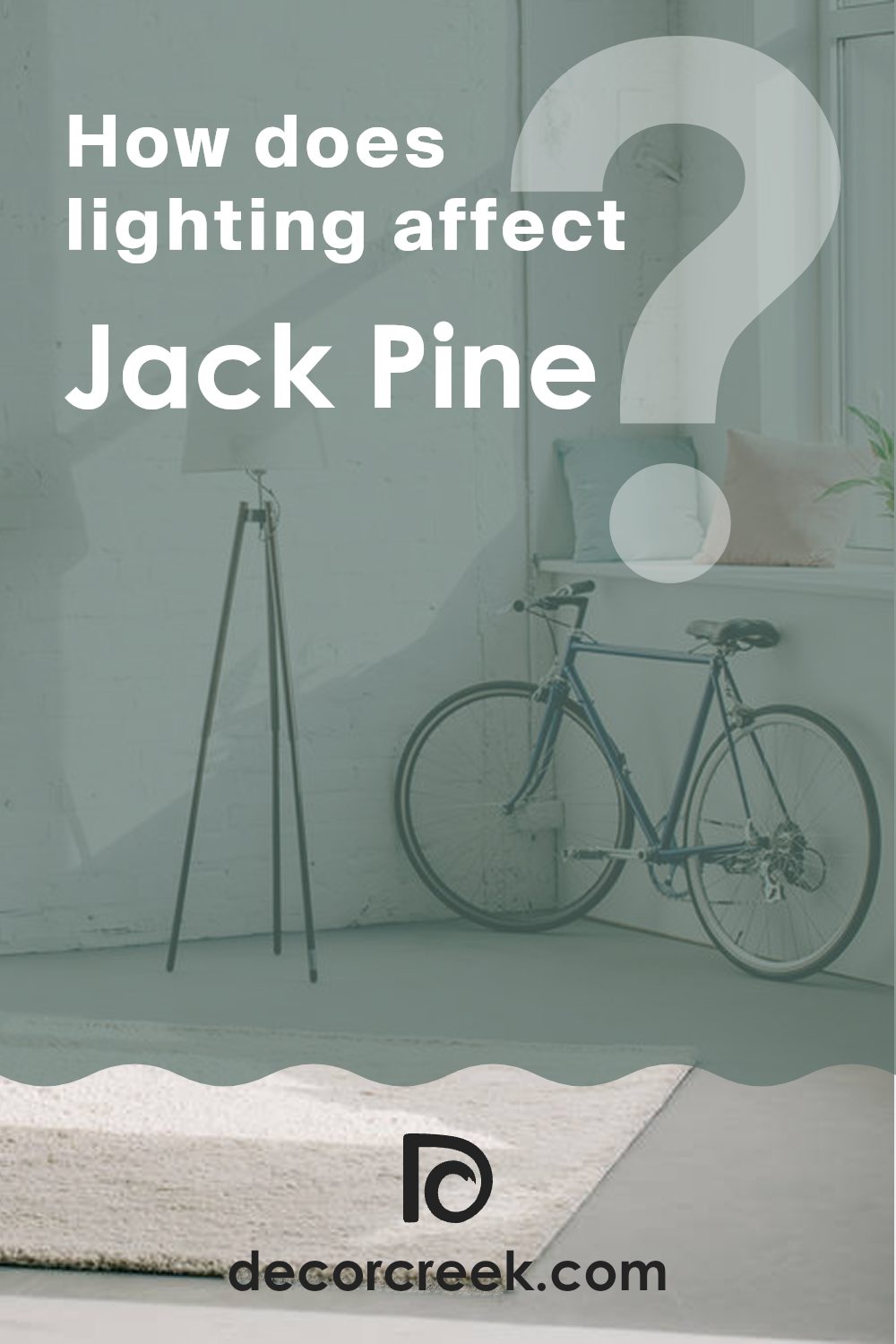 how_does_lighting_affect_jack_pine_692