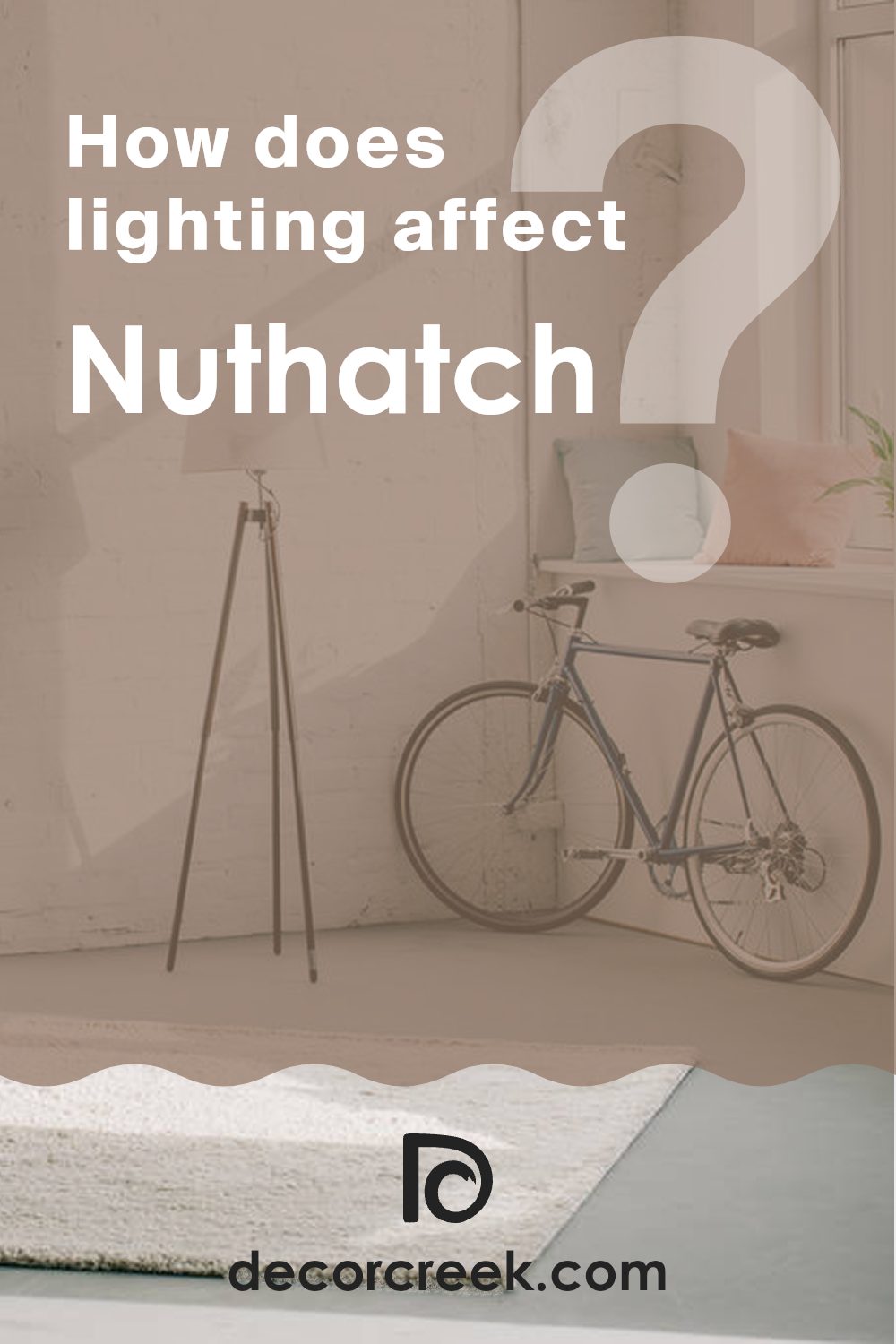 how_does_lighting_affect_nuthatch_sw_6088