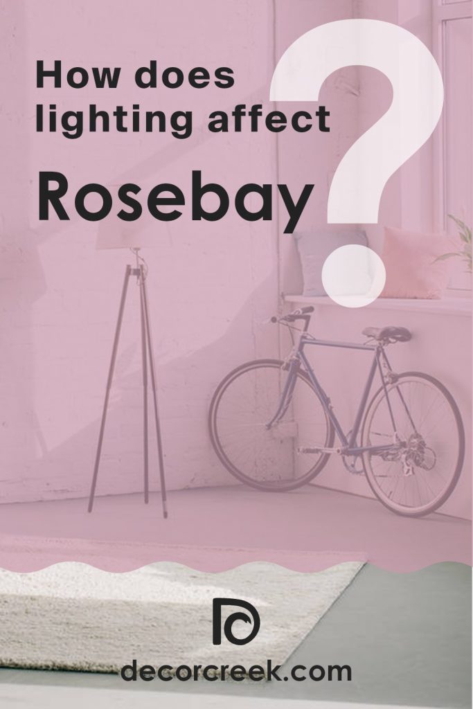 Rosebay SW 6563 Paint Color by Sherwin Williams - DecorCreek