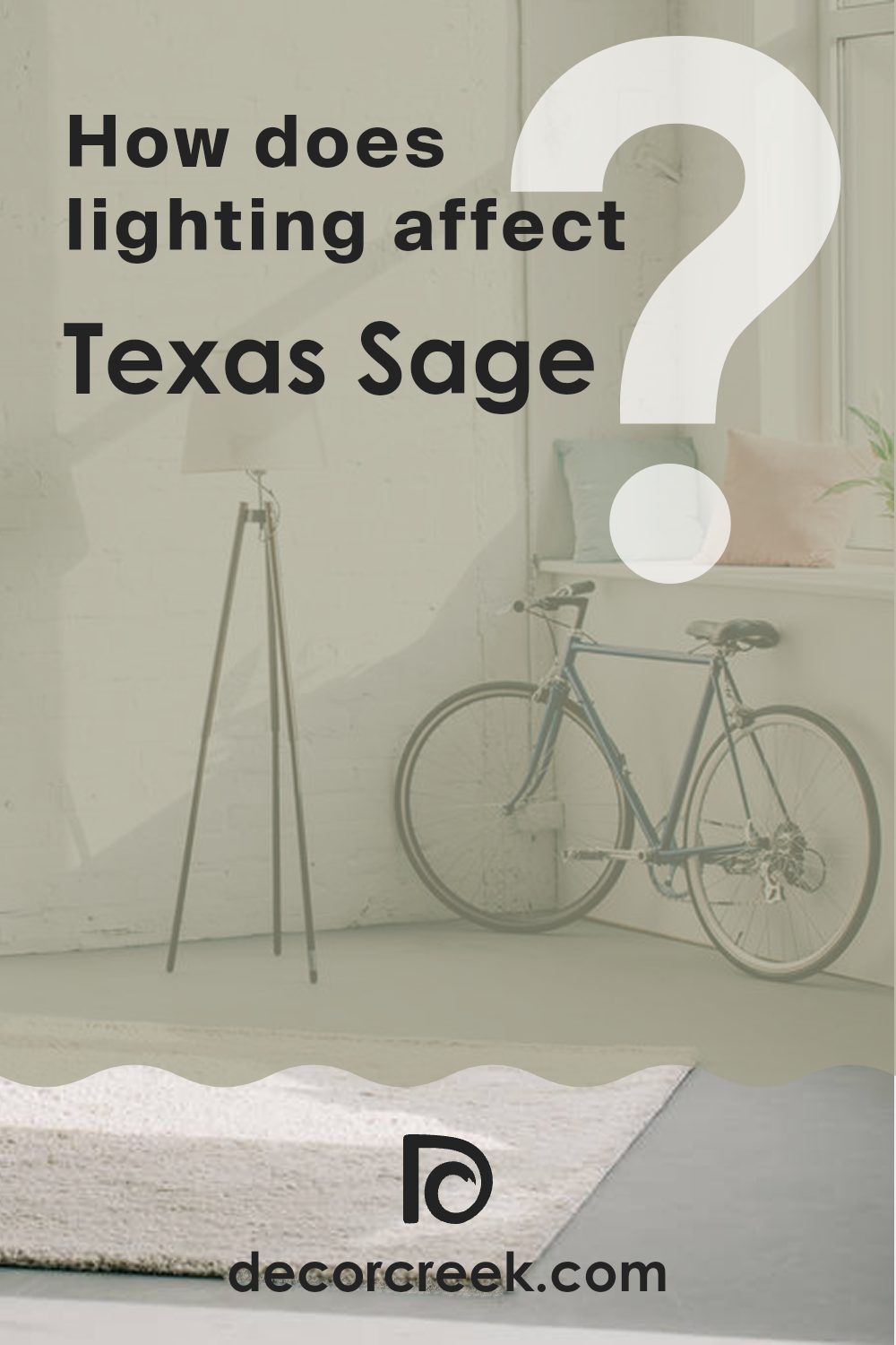 how_does_lighting_affect_texas_sage_1503