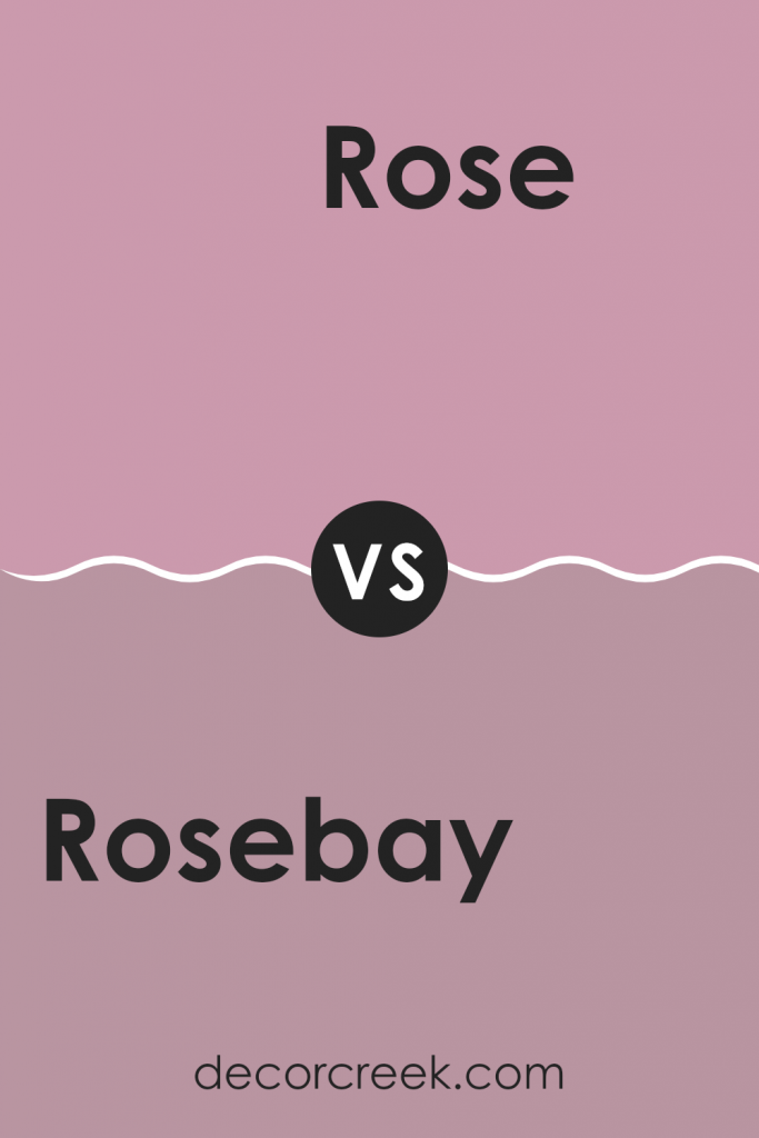 Rosebay SW 6563 Paint Color by Sherwin Williams - DecorCreek