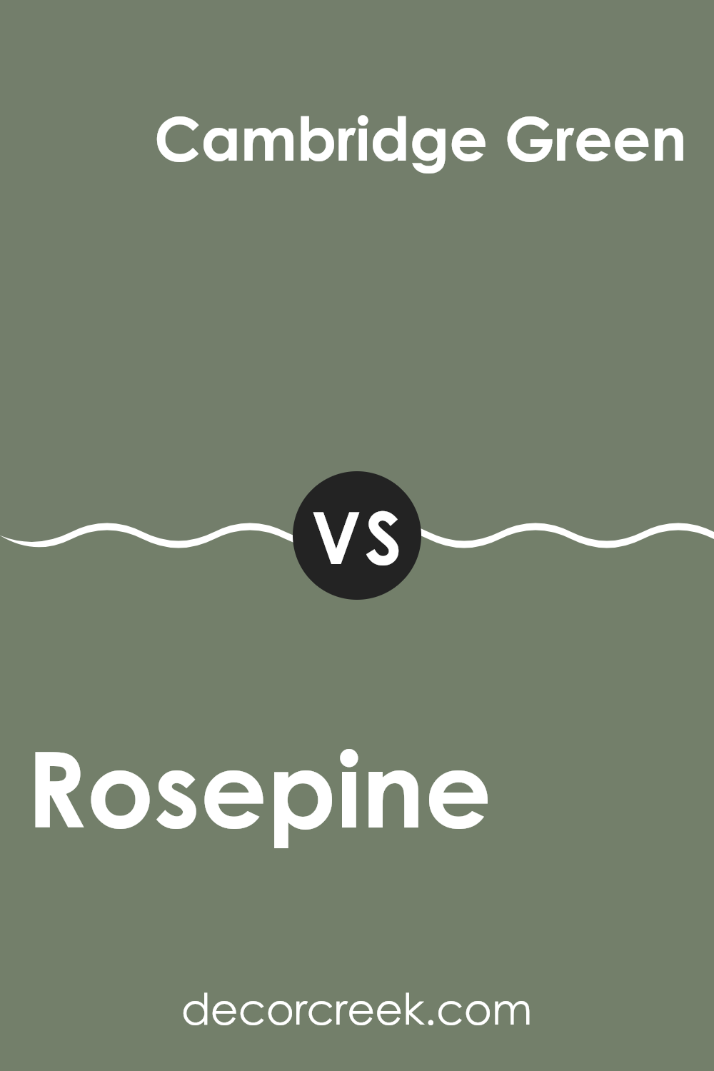 rosepine_461_vs_cambridge_green_468