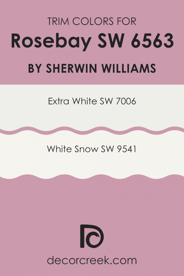 Rosebay SW 6563 Paint Color by Sherwin Williams - DecorCreek