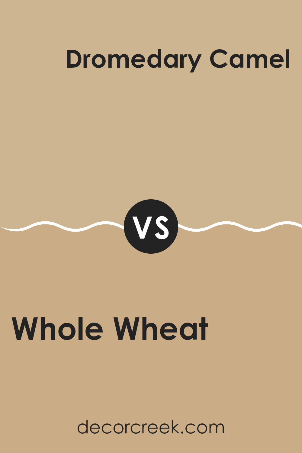whole_wheat_sw_6121_vs_dromedary_camel_sw_7694