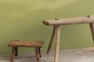 Agave AF-420 Paint Color by Benjamin Moore