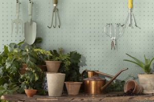 Antique Jade 465 Paint Color by Benjamin Moore