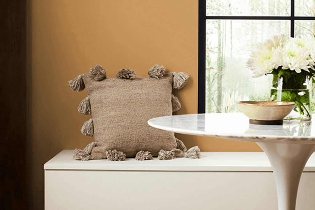 Bosc Pear SW 6390 Paint Color by Sherwin Williams