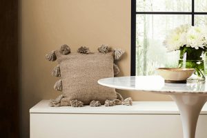 Camelback SW 6122 Paint Color by Sherwin Williams