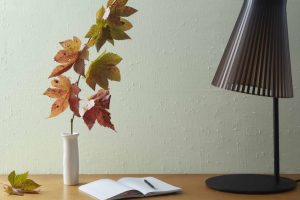 Crystalline AF-485 Paint Color by Benjamin Moore