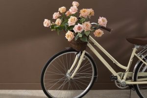 Mocha Brown 2107-20 Paint Color by Benjamin Moore