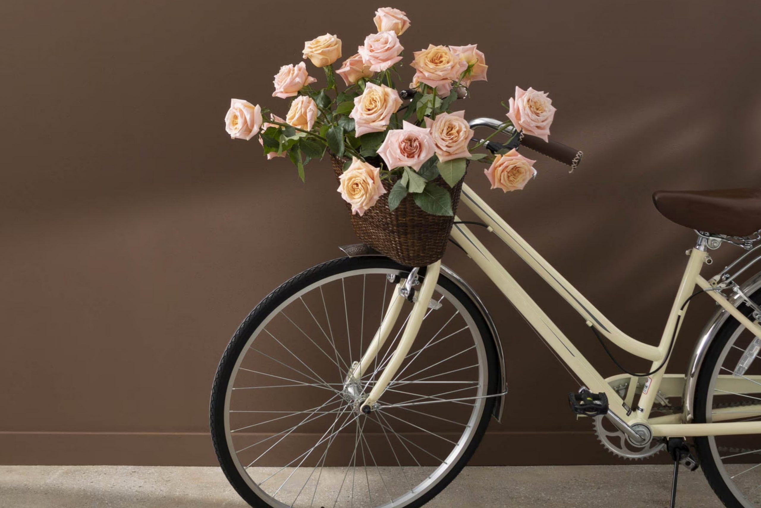 Mocha Brown 2107-20 Paint Color by Benjamin Moore