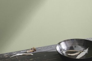 Soft Fern 2144-40 Paint Color by Benjamin Moore