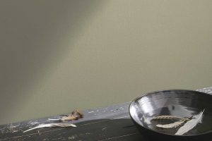 Texas Sage 1503 Paint Color by Benjamin Moore