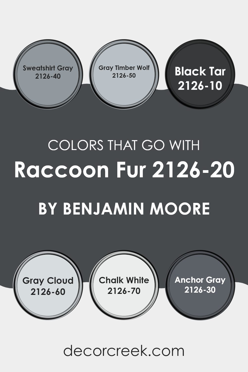 colors_that_go_with_raccoon_fur_2126_20