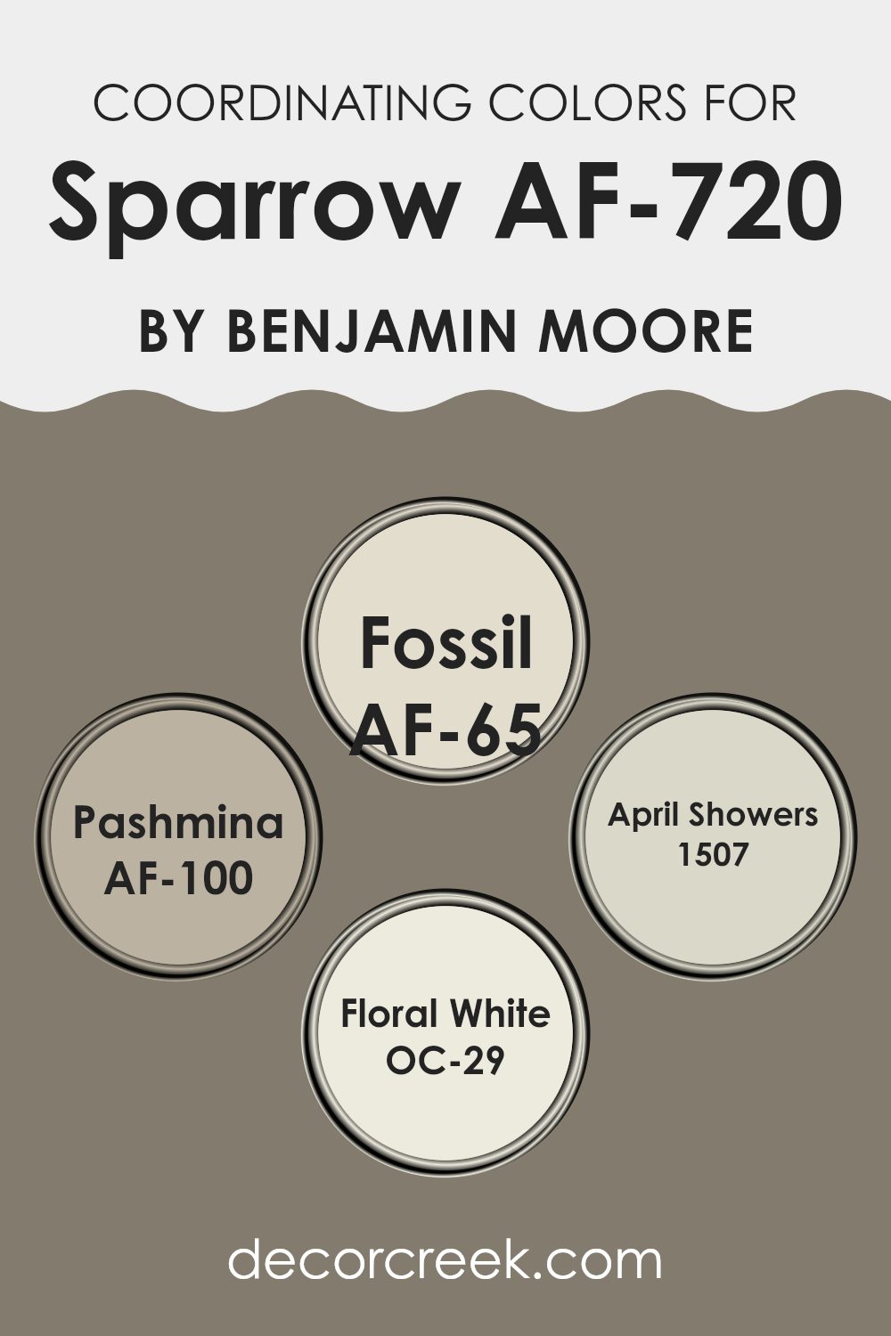 coordinating_colors_of_sparrow_af_720