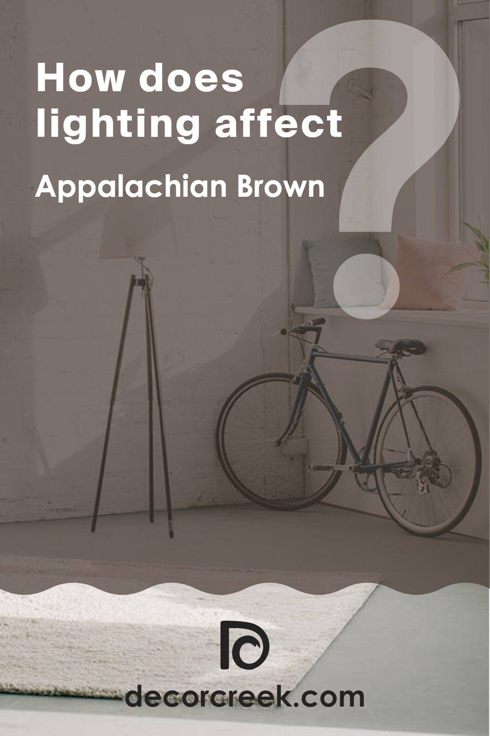 how_does_lighting_affect_appalachian_brown_2115_10