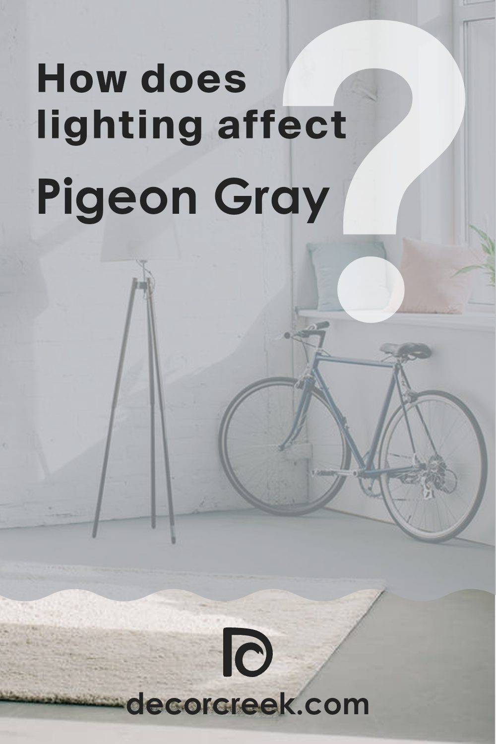 how_does_lighting_affect_pigeon_gray_2133_50