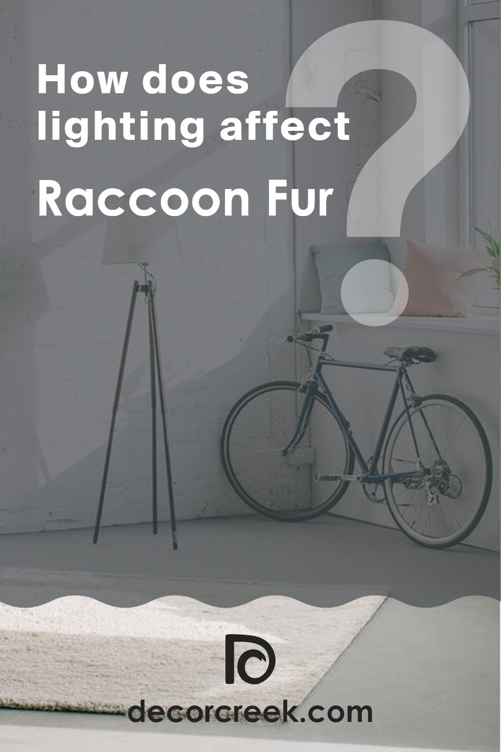 how_does_lighting_affect_raccoon_fur_2126_20